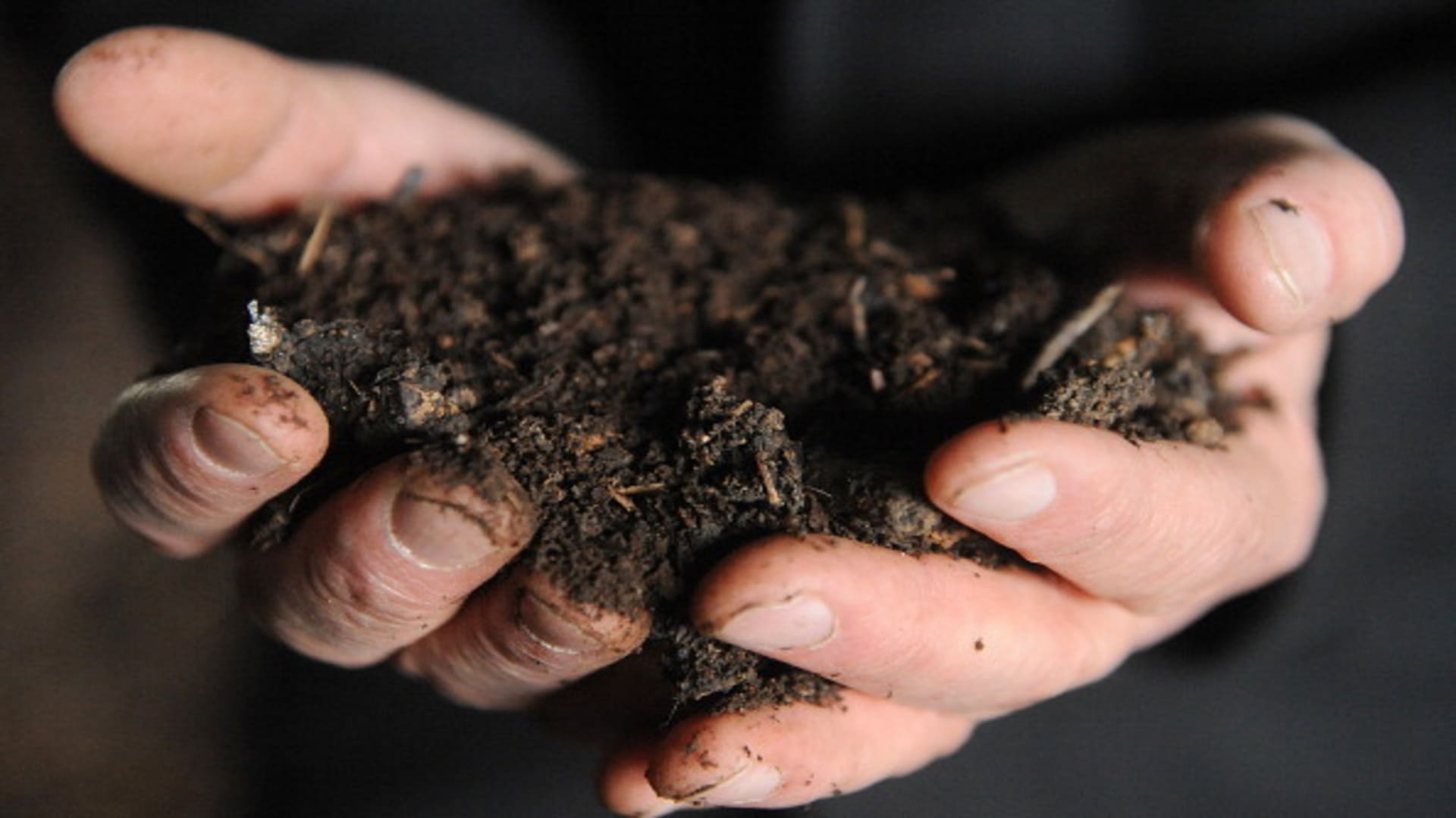Why the global soil shortage threatens food, medicine and the climate