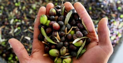 Reaping Benefits From Olive Oil Shortage 