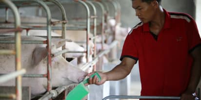 Amid swine fever outbreak, China's pork output in the first half of 2019 falls