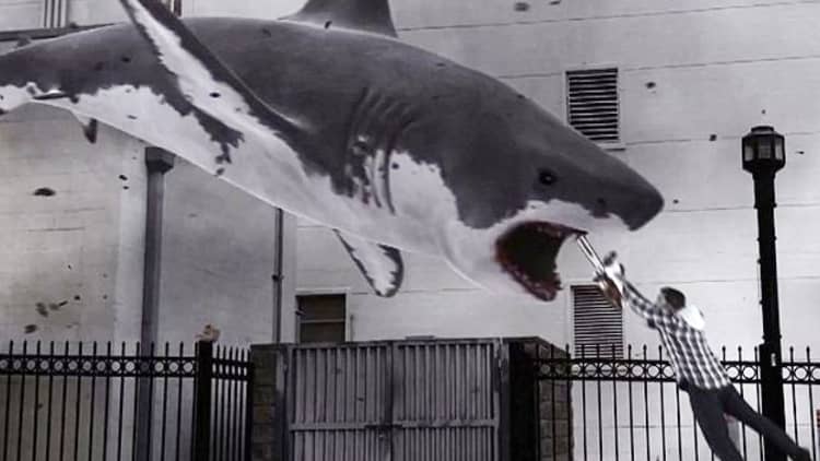 Sharks rain down on Wall Street