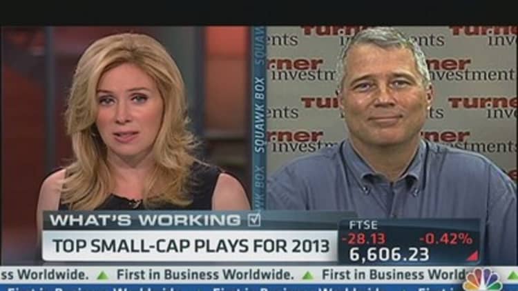 Top small-cap plays for 2013
