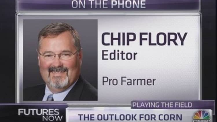 Crop expert: Here's what will put a bottom in corn