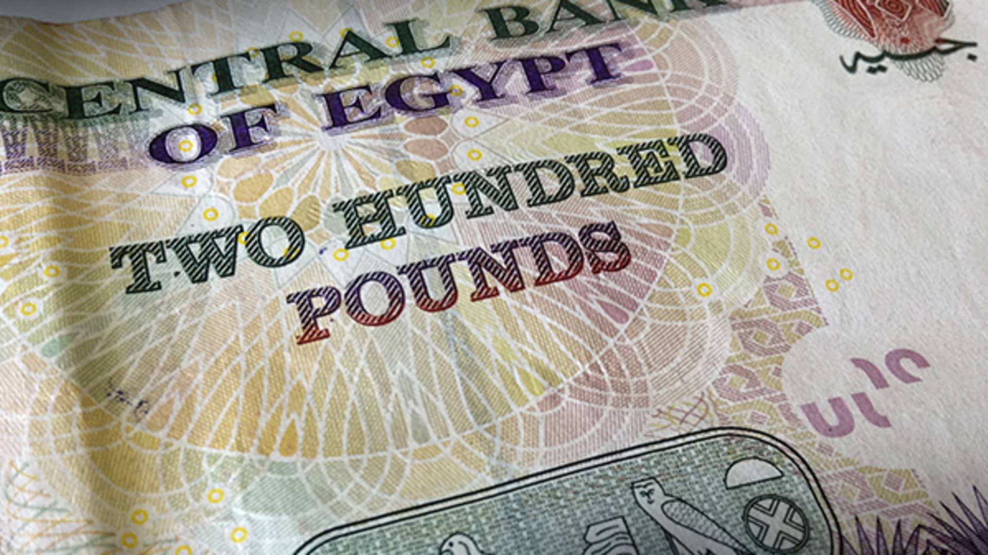 Egypt hikes interest rates by 600 basis points, pound crumbles to record low
