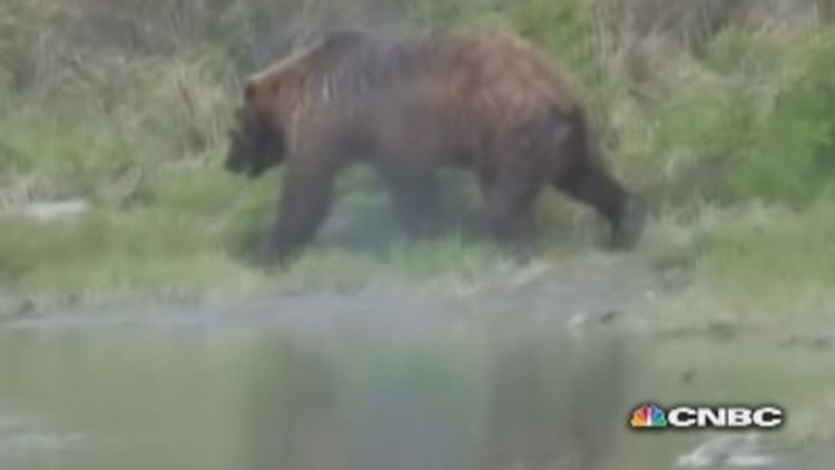 Man recounts horror of Alaska grizzly attack