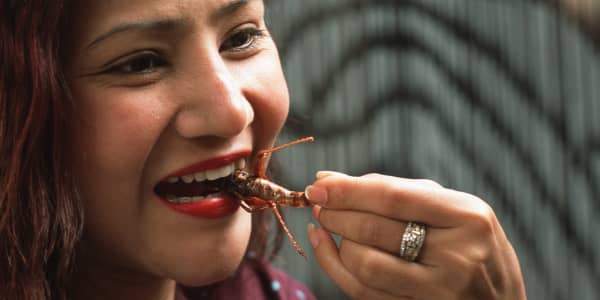 Can insects end world hunger?