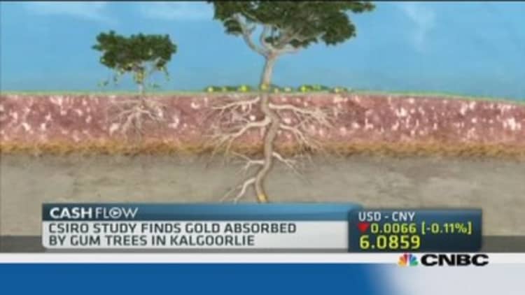 Scientists find gold growing on trees in Australia