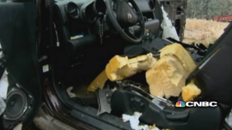 Bears completely destroy Honda Element interior