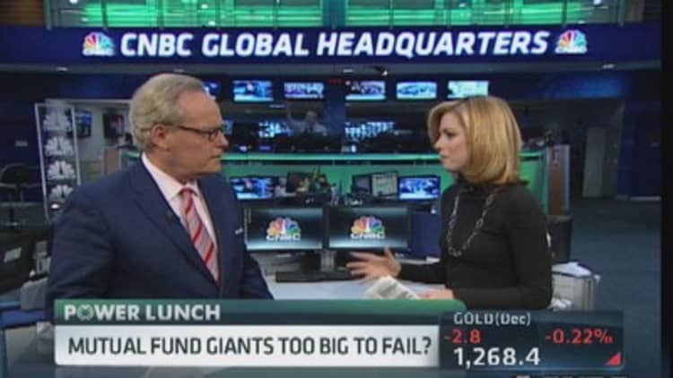 Mutual fund giants too big to fail?