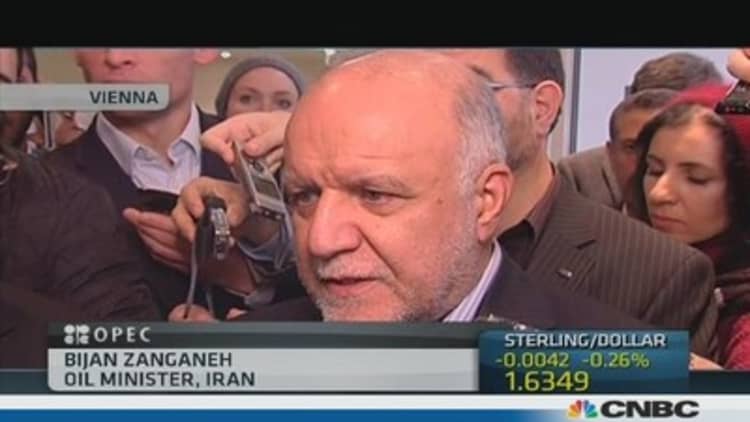 OPEC will help Iran re-enter market: Oil minister