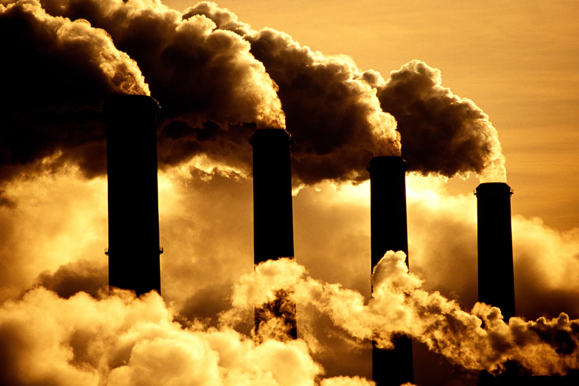 Carbon offsets are imperfect but necessary and the market needs to grow fast, says B of A exec