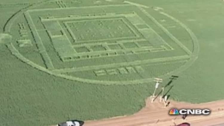 California's crop circle mystery solved