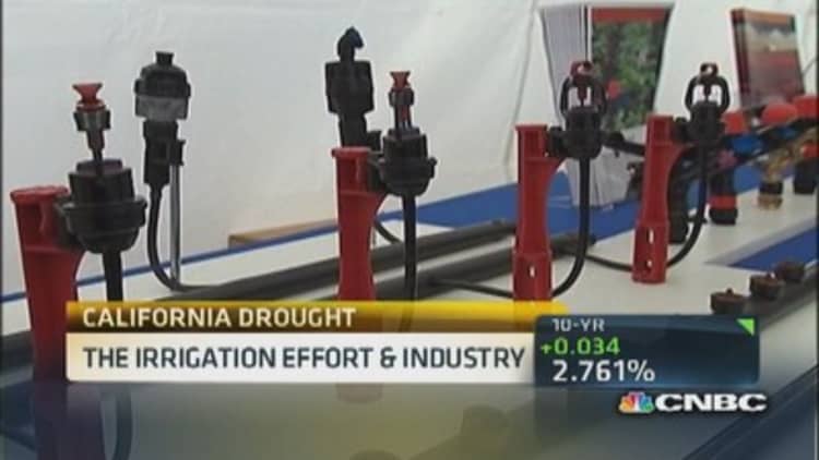 Cali's irrigation effort and industry 