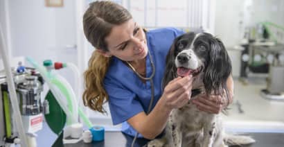 Chewy and Petco earnings make it clear: Pet health care is their future