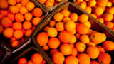Oranges sit in crates during a citrus harvest at the Rancho Del Sol Organics farm in San Diego County, California.