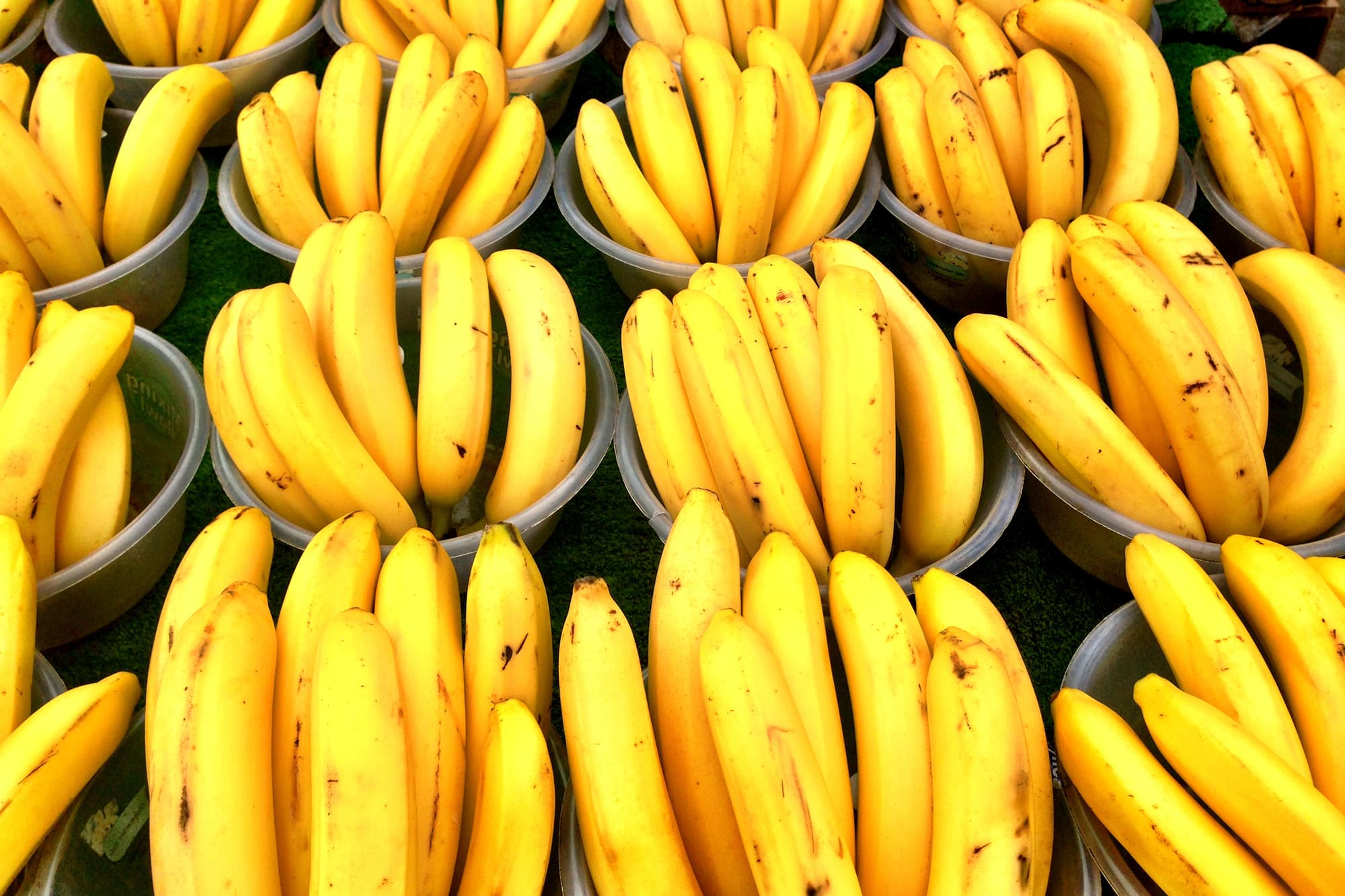World S Banana Supply Threatened By Virus Says Un Group.