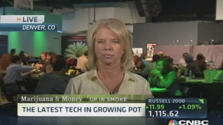 Silicon Valley techie's pot contribution
