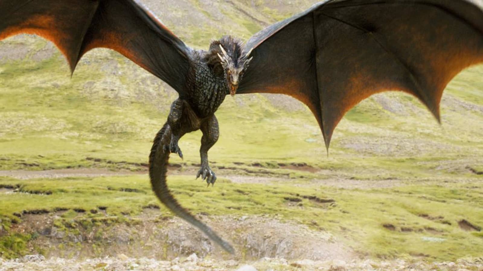 Could the 'Game of Thrones' Dragons Fly and Breathe Fire?