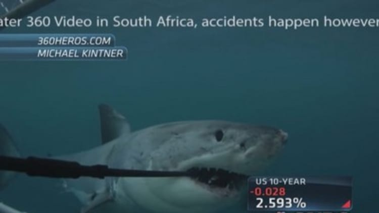 Shark devours GoPro