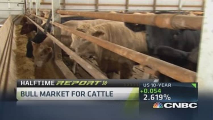 Bull market for cattle