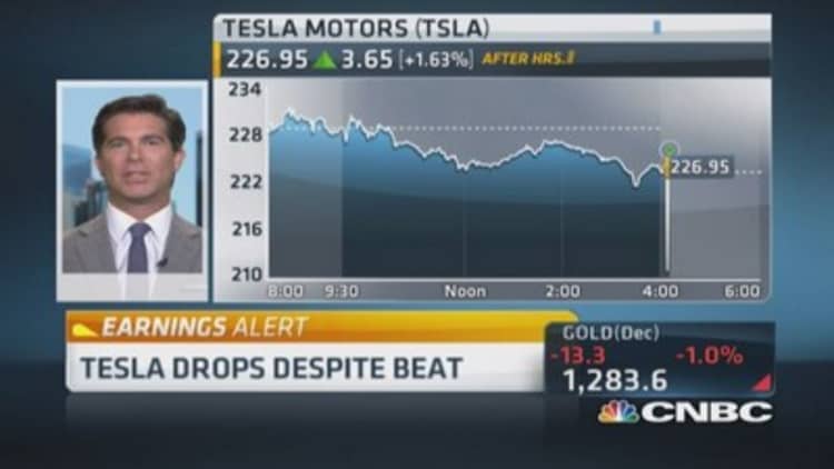 Tesla has great growth strategy: Pro 