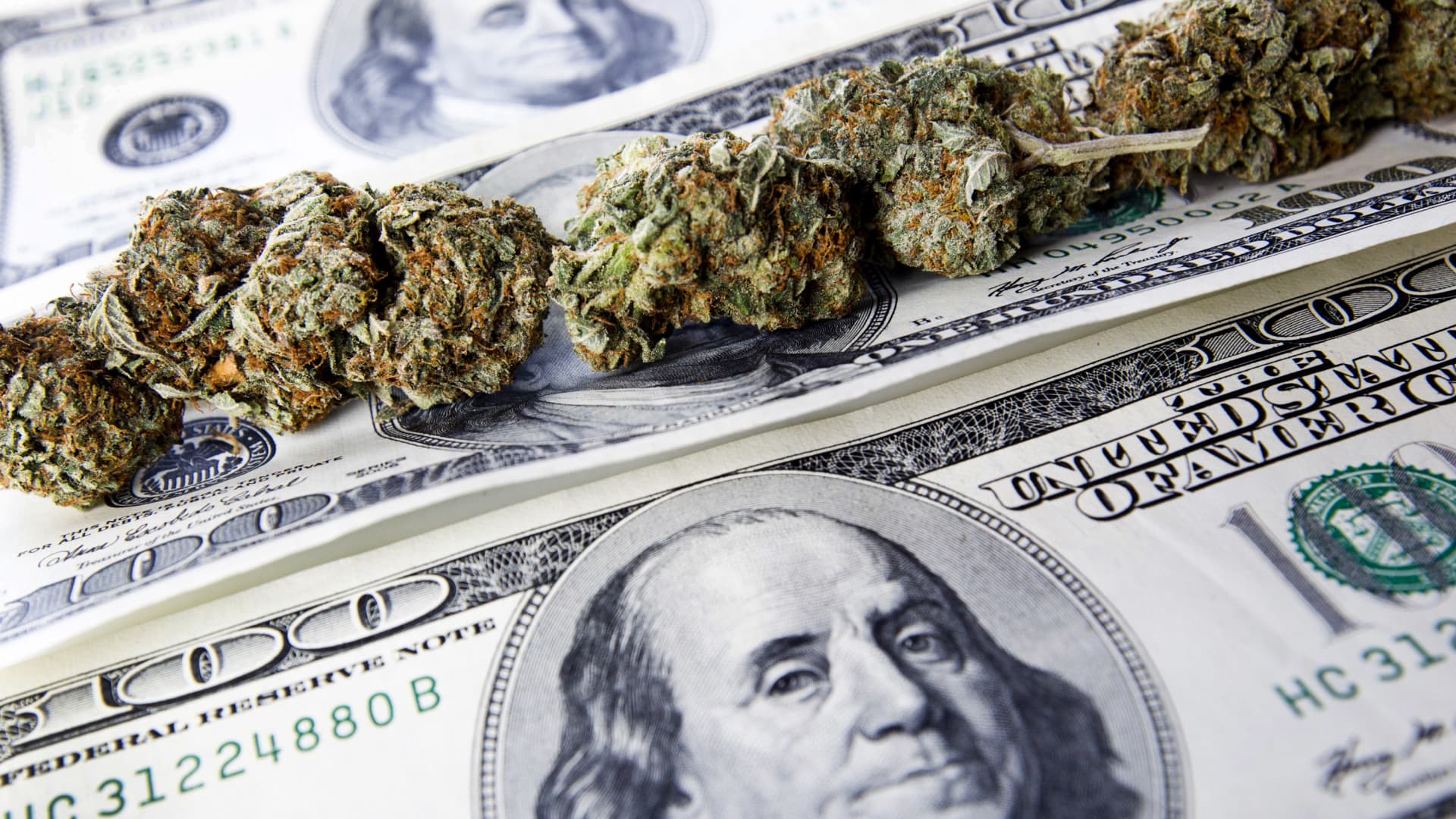 Big Marijuana': Watch this lobby group grow