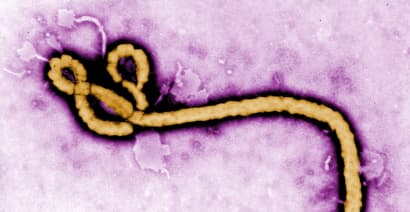 Novavax rises on Ebola vaccine trial