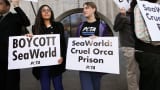 Rachelle Owen and Rose McCoy attend a PETA courthouse demonstration as SeaWorld opponents arrested at the Rose Parade are arraigned at Pasadena Courthouse on February 3, 2014 in Pasadena, Calif.