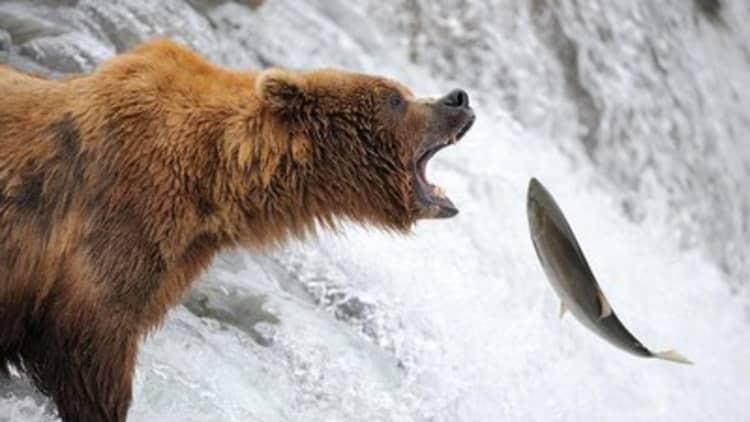 Tech stocks in bear territory