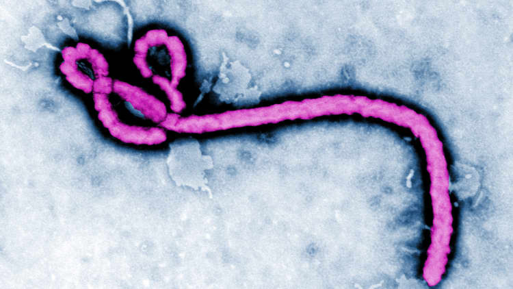 First US Ebola transmission