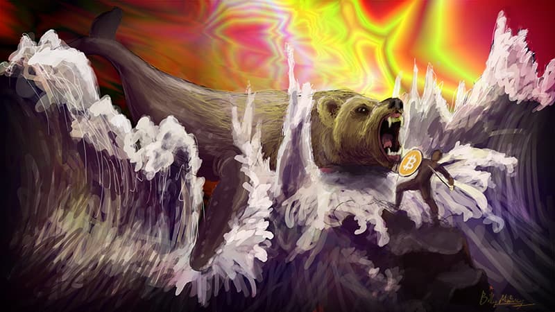 bitcoin bear)