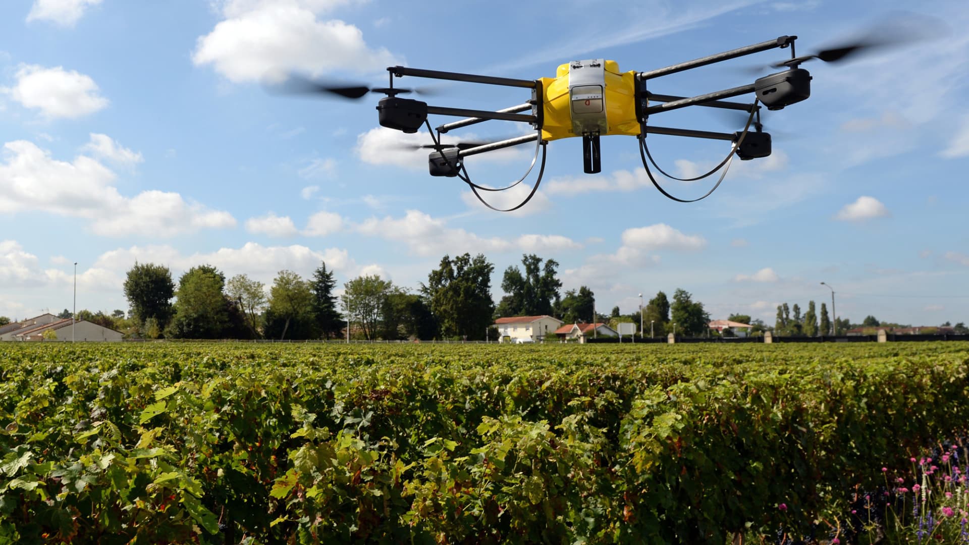 A drone flying over vineyards in Pessac, France