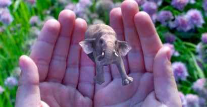 People keep giving Magic Leap money for a yet-to-be-seen product