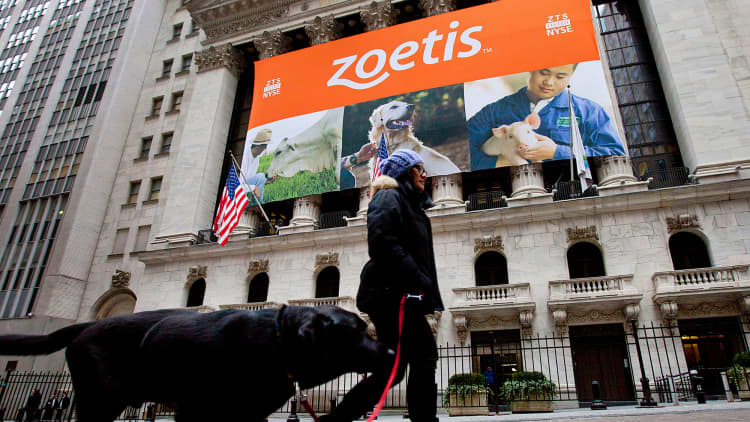 Pet adoption demand drives strong Q3 earnings for Zoetis