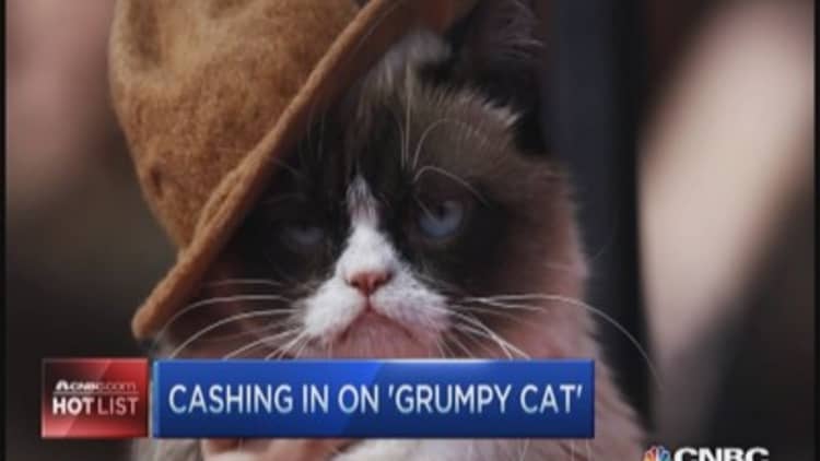 The 'Grumpy cat' empire