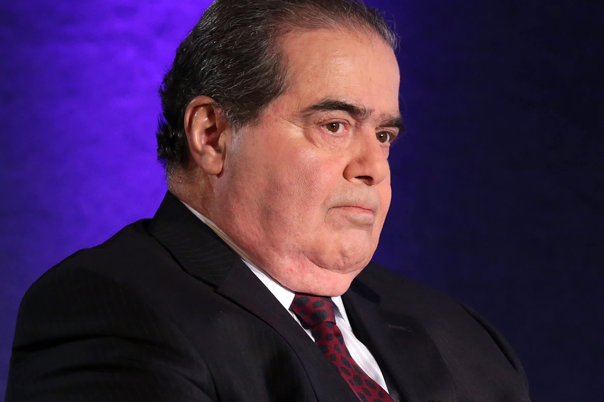 Image result for scalia confused