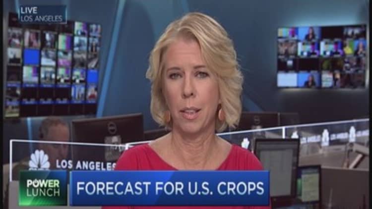 US crops: Beans hit hardest