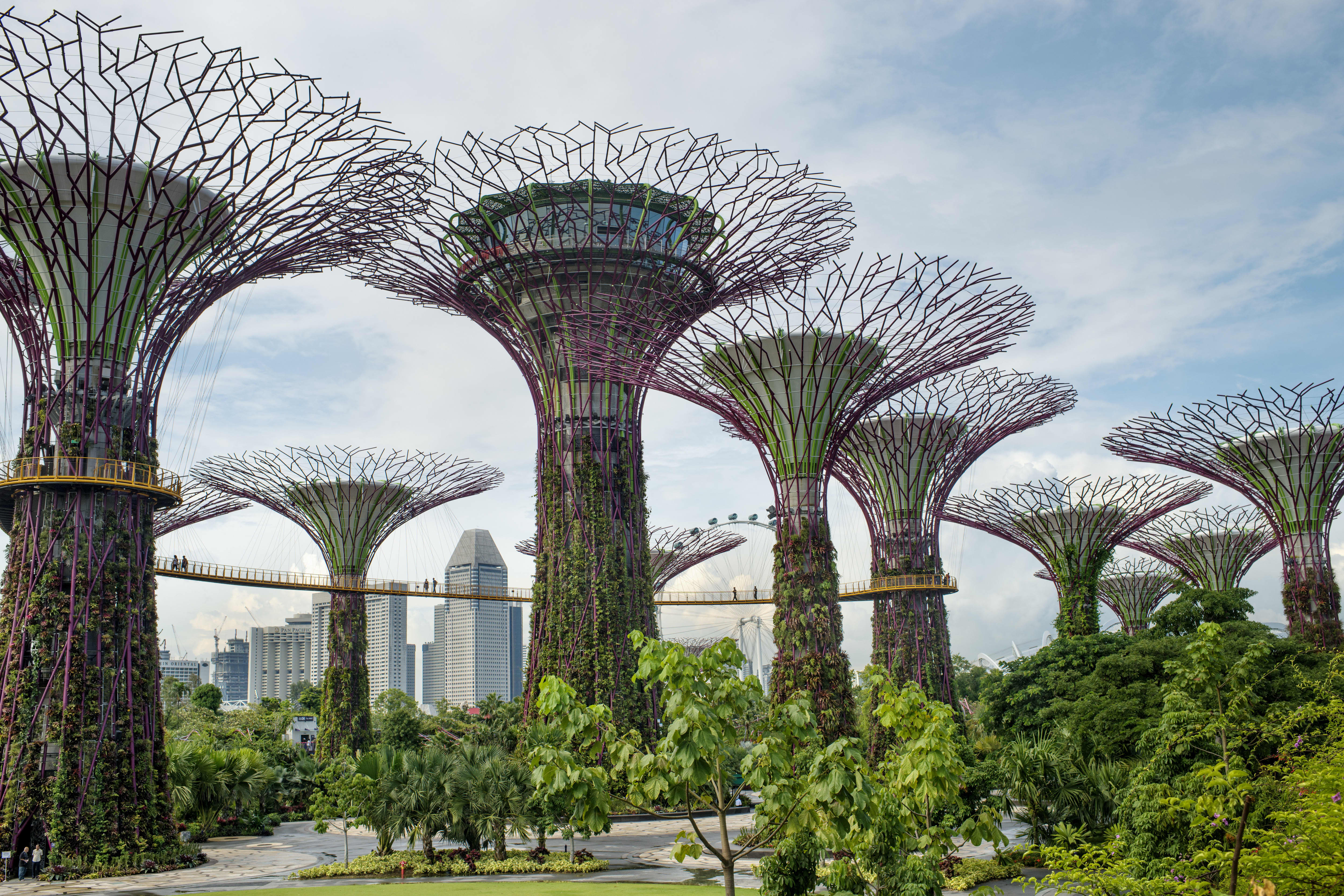 Singapore firms top sustainability ranks