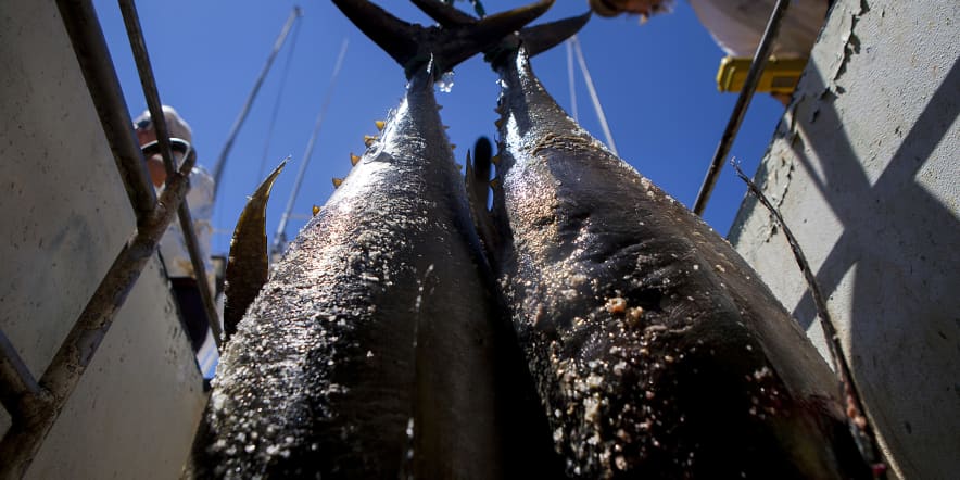 Canned tuna is a $40 billion industry. But it's facing some existential threats