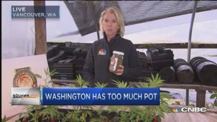 This pot grower facing bankruptcy