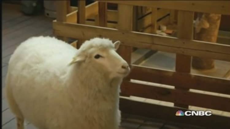 Chinese couples shun Year of the Sheep