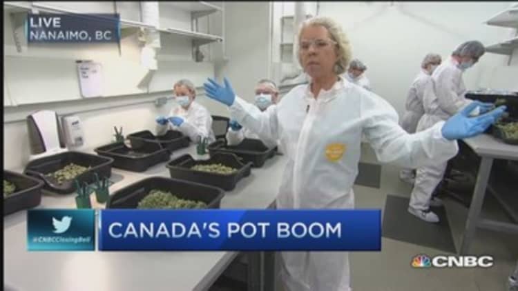 Oh, cannabis! Canada's pot boom