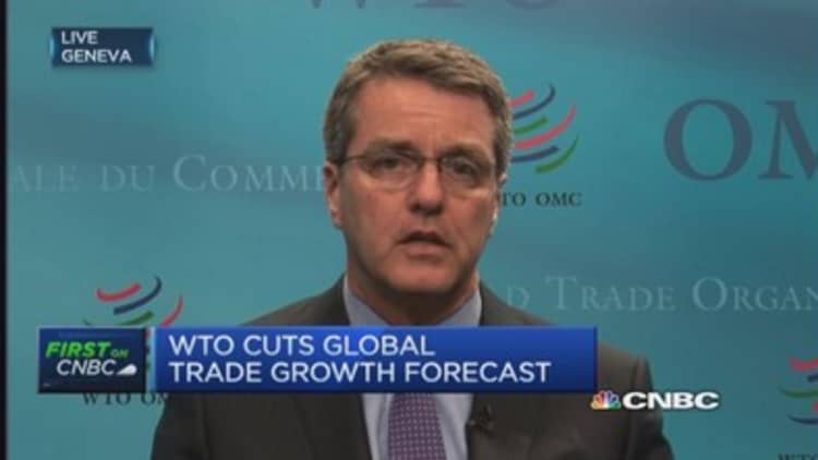 WTO is 'hopeful' on Europe's economy
