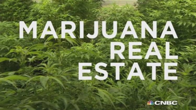 Marijuana real estate: Here's how to turn a high profit 