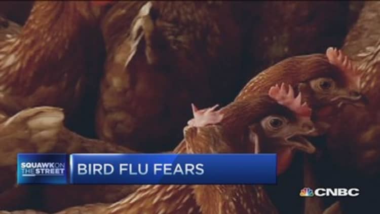 4 million hens euthenized over bird flu fears