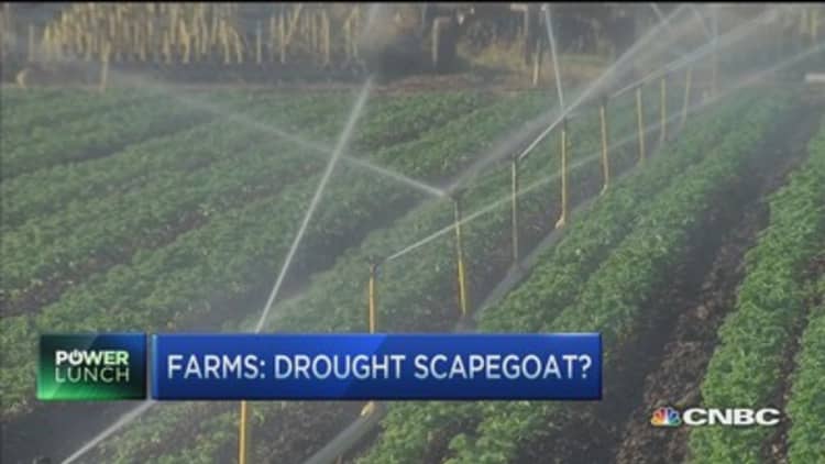 Cali drought: Farmers scapegoated? 