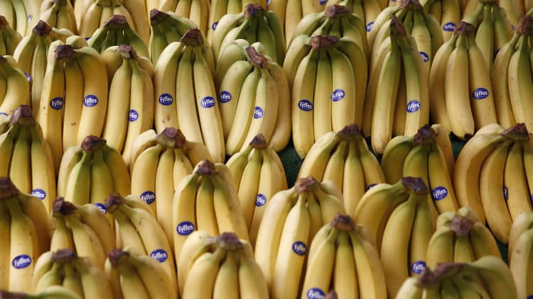 The banana business of Chiquita, Fresh Del Monte, and Dole is at risk due to a deadly fungus