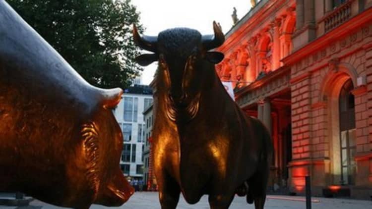 Bull market paused: Pro