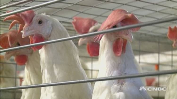 Bird flu found at 5 new sites in Iowa