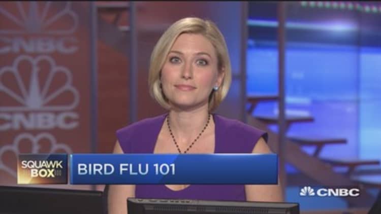 Bird flu 101