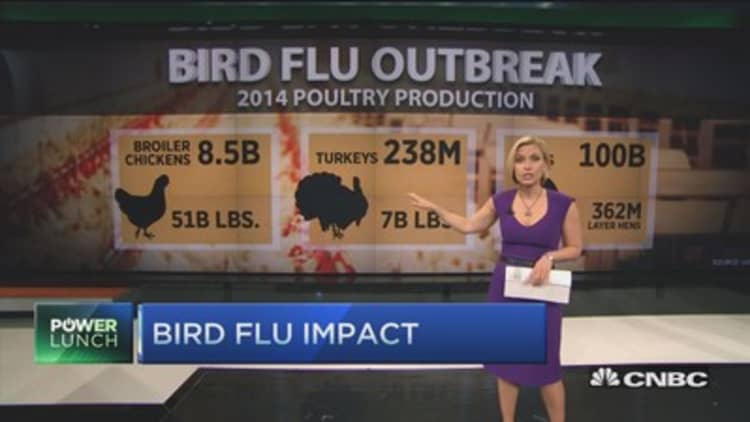 Bird flu impact by the numbers